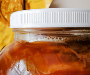 Kombucha na bazie zielonej herbaty działa inaczej niż ta z czarnej. Naukowcy z Wrocławia pokazują, jak wybrać właściwy szczep 