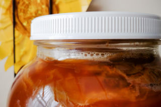 Kombucha na bazie zielonej herbaty działa inaczej niż ta z czarnej. Naukowcy z Wrocławia pokazują, jak wybrać właściwy szczep 