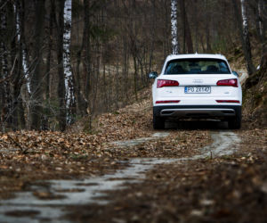 Audi Q5 2.0 TDI 190 KM S tronic quattro