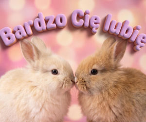 Kartki na Walentynki. Najlepsze życzenia walentynkowe