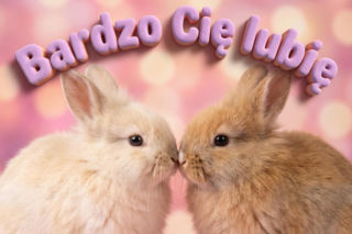 Kartki na Walentynki. Najlepsze życzenia walentynkowe