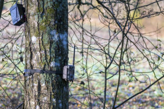Fotopułapki do monitoringu posesji to hit! Jak wybrać model i ile to kosztuje?