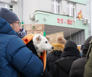 Schronisko dla psów w Sobolewie zamknięte. Jeszcze w sobotę, 24 stycznia, protestowali pod nim mieszkańcy [ZDJĘCIA].