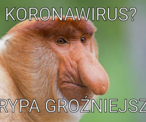 Koronawirus dotarł do Polski. Jest pierwszy przypadek. Zobacz najlepsze memy