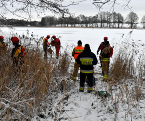 Akcja na jeziorze Ińsko. Strażacy wyciągają martwe jelenie