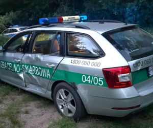 Szaleńczy pościg na A1! Kierowca ciężarówki taranował radiowóz i uciekł do lasu