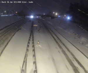 Intensywne opady śniegu w Trójmieście 8.02.2021. Obwodnica zablokowana