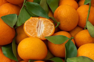 Myślisz, że mandarynka i klementynka to to samo? Jesteś w ogromnym błędzie!