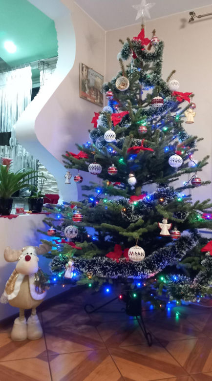 Choinki naszych Czytelników. Taki klimat tylko w woj. lubelskim!