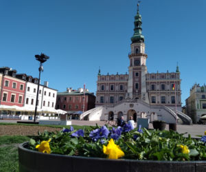 Wiosna w Zamościu