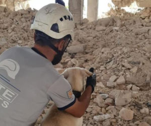 Ratownictwo bez granic. Polscy strażacy budują jednostkę K9 w Syrii