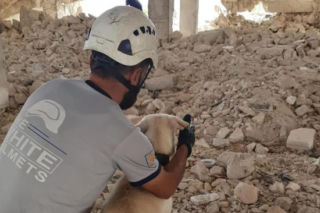 Ratownictwo bez granic. Polscy strażacy budują jednostkę K9 w Syrii