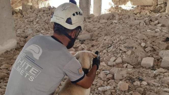 Ratownictwo bez granic. Polscy strażacy budują jednostkę K9 w Syrii