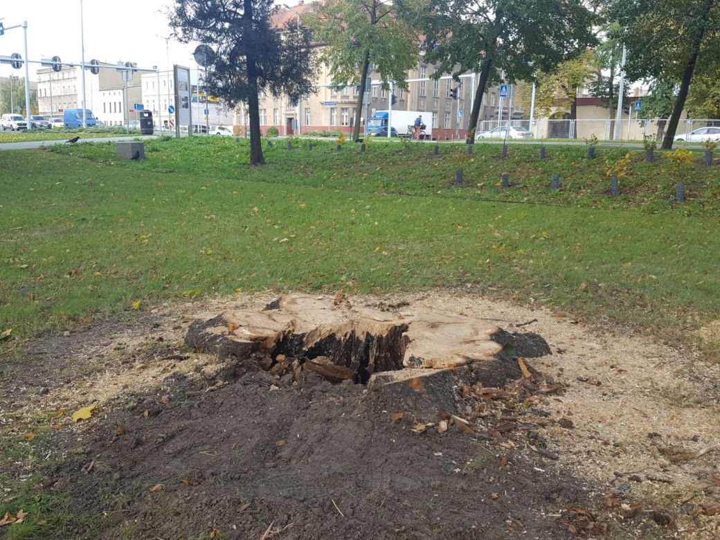 Strażacy (i piły) na pełnych obrotach