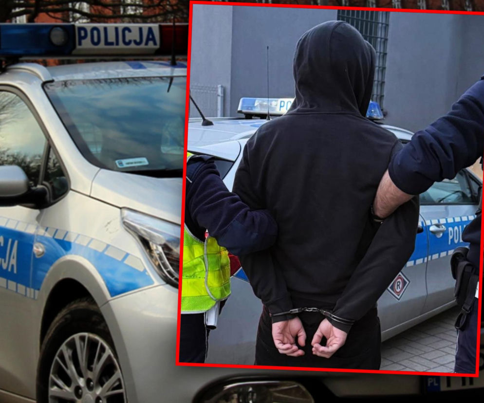 Radiowóz policji. Na miniaturze mężczyzna w kapturze z rękami w kajdankach. O zatrzymaniu czytaj w Eska Szczecin.