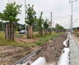 W Toruniu trwa modernizacja torowisk. Zaglądamy na plac budowy