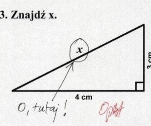 Nauczyciel płakał ze śmiechu jak sprawdzał. Te odpowiedzi z klasówek to HIT! [GALERIA]