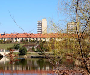 Chorzów: Milion złotych da Unia na modernizacje stawów Amelung
