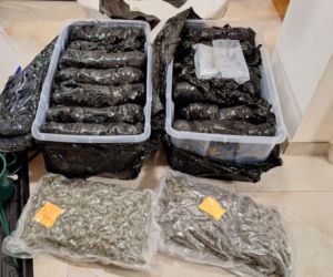 Uderzenie mokotowskich kryminalnych w narkobiznes – zabezpieczono ponad 18 kg narkotyków