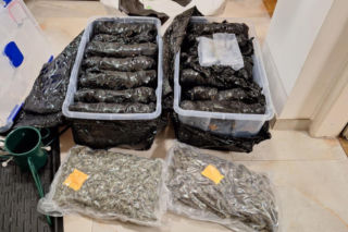 Uderzenie mokotowskich kryminalnych w narkobiznes – zabezpieczono ponad 18 kg narkotyków