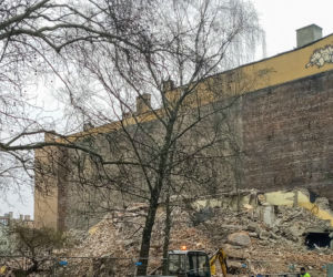 Maciuś zniknął z powierzchni ziemi