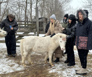 Joanna Krupa odwiedza schronisko dla zwierząt