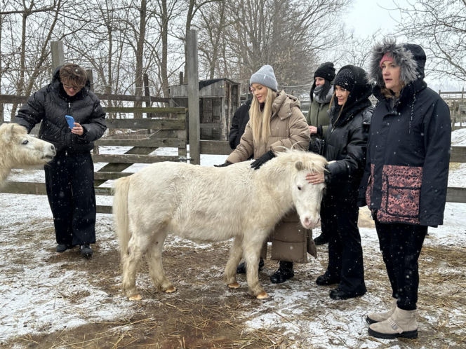 Joanna Krupa odwiedza schronisko dla zwierząt