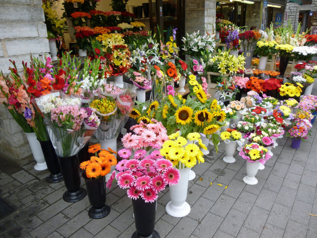 Floryści