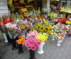 Floryści