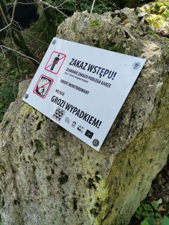 W Szachownicy zimą hibernuje ponad 2000 nietoperzy. Wchodzić tu jednak nie wolno