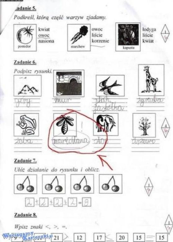 Hity z kartkówek i sprawdzianów. Tak uczniowie walczą o oceny na koniec roku szkolnego [GALERIA]
