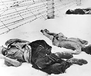 NIEMCY! Holocaust to wasze dzieło!