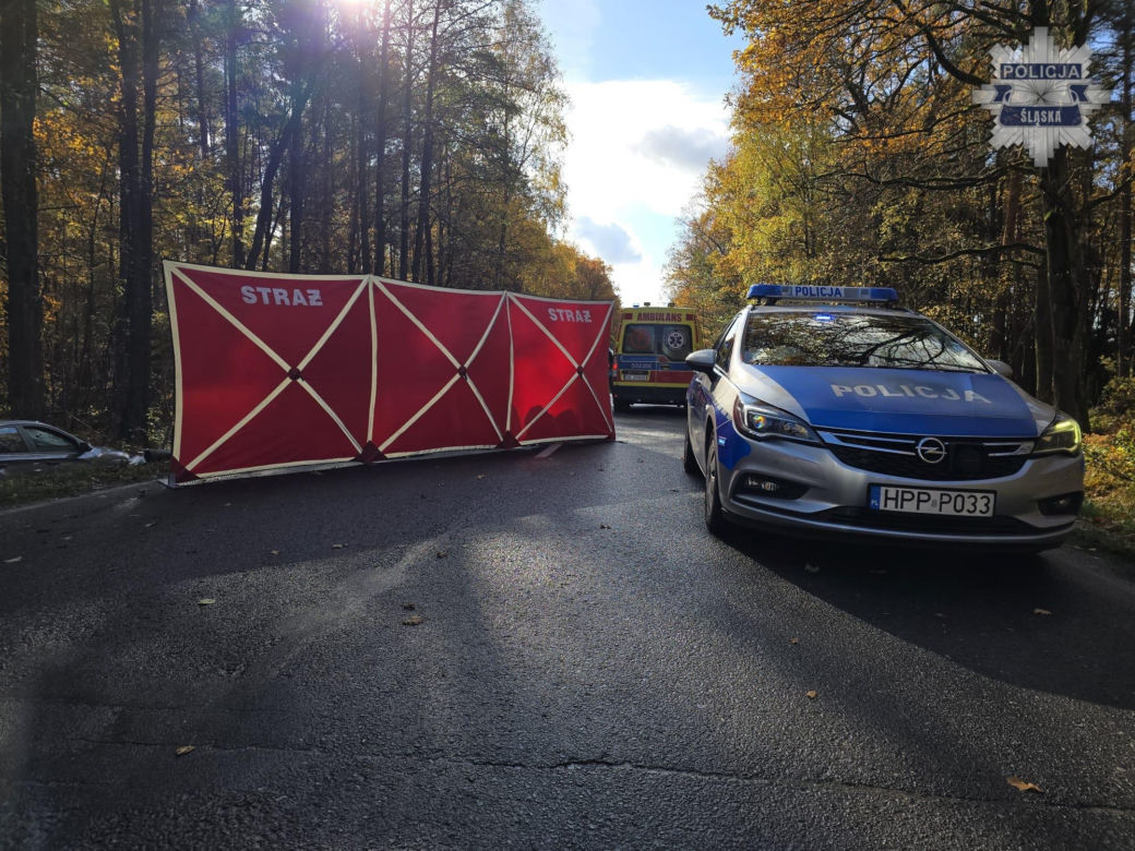 Wypadek Kobiór