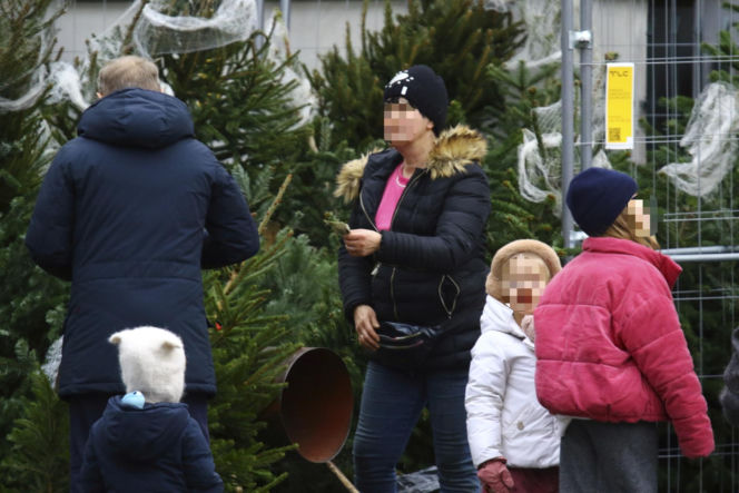 Premier Donald Tusk ma gest? Kupił dwie choinki i odmówił reszty