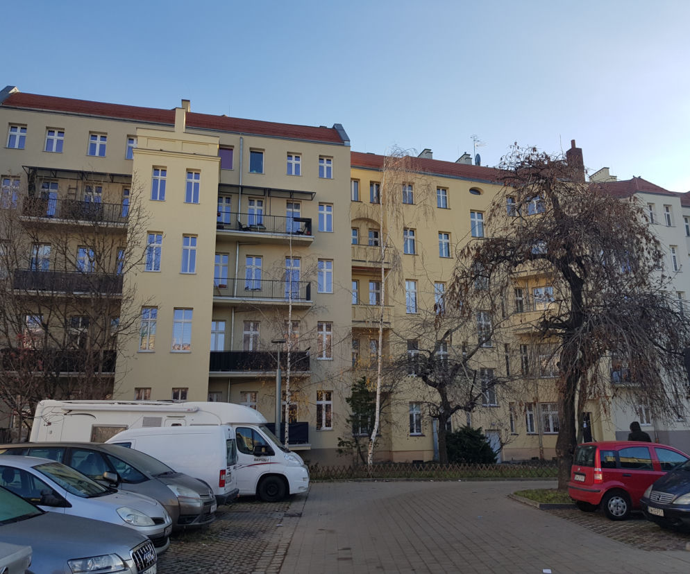 W tym roku Wrocław dużo wcześniej rozpocznie walkę z komarami! Na ścianach budynków powstaną specjalne budki