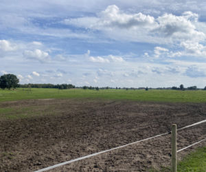 Bitwa o Polanę Ukciańską nad Krutynią
