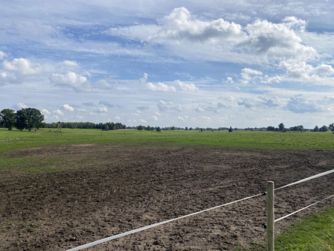 Bitwa o Polanę Ukciańską nad Krutynią