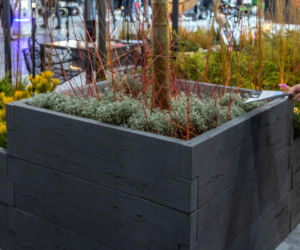 BUDMA 2026 - zdjęcia