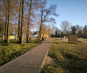 Plaża w Osiecznej