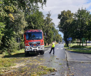 Straszna wichura przeszła przez Dolny Śląsk. Wciąż wieje!