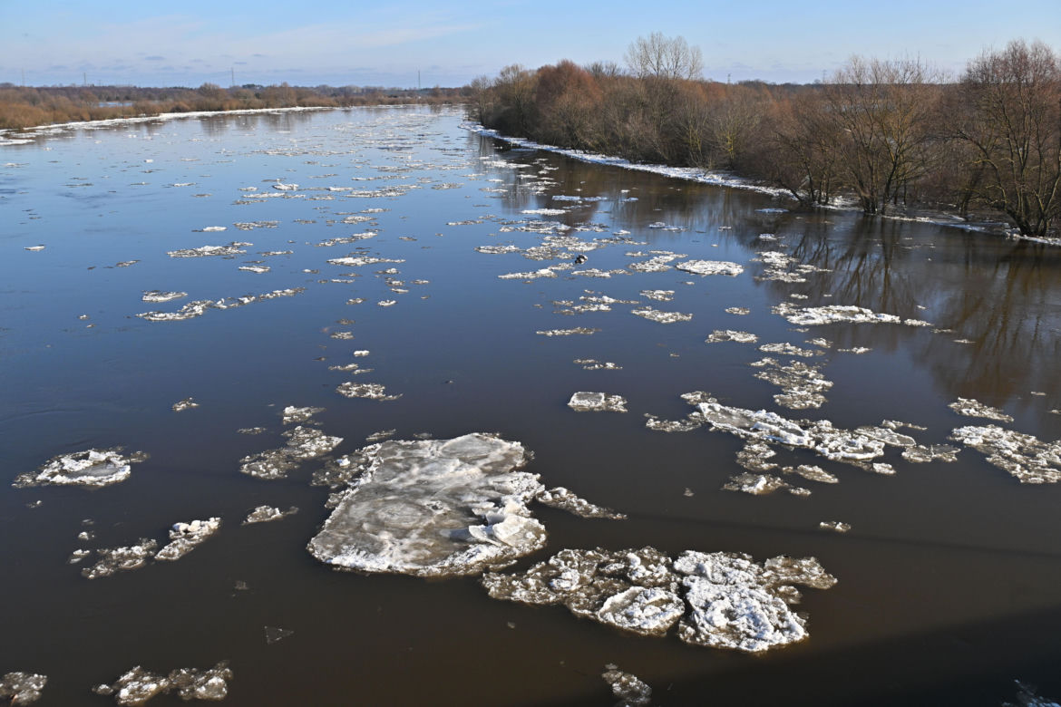 Bug w Wyszkowie