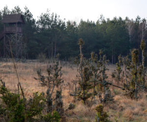 Biebrzański Park Narodowy