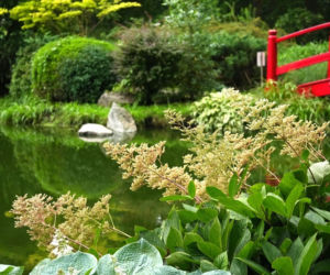 Ogród japoński