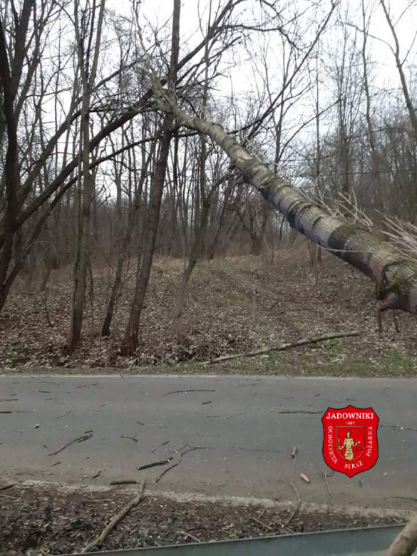 Wichury nad Polską
