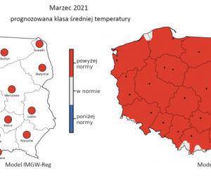 Jaka będzie zima 2020/2021? Czy spadnie śnieg? Prognozy są miażdżące. WAŻNY komunikat [PROGNOZA POGODY, MAPY, MIASTA, WOJEWÓDZTWA]