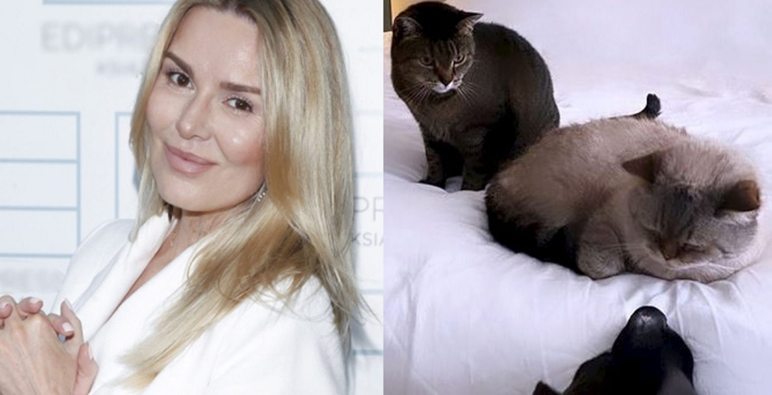 Hanna Lis odnalazła swoje koty