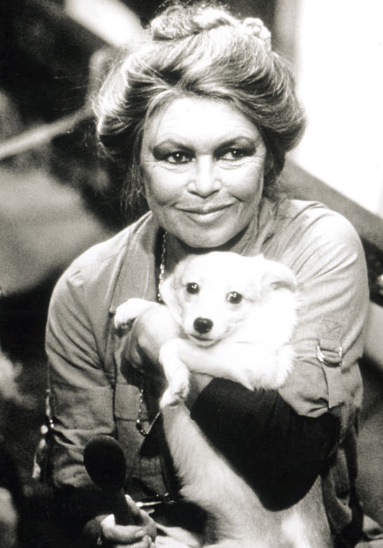 Joanna Opozda zagrała Brigitte Bardot 