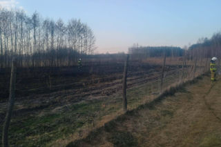 Wiosenna plaga: Pożary traw. Na zdjęciach akcja gaśnicza w Nowych Żukowicach