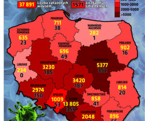 Koronawirus w Polsce [RAPORT 12.07.2020]