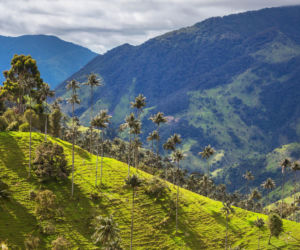 sztuczna inteligencja wybrała 5 najlepszych miejsc na wakacje 2026 - Londyn